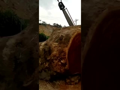 크로스컷 머신 큰 나무 썰기 체인 시어