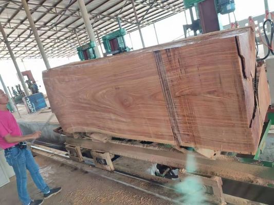 60'' Heavy-duty CNC Wood Saw Machine Vertical Band Sawmill Commercial Log Cut Saw for timber