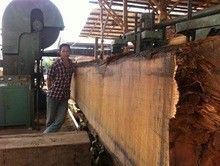 Saw machines woodworking wood cutting vertical band sawmill with log carriage